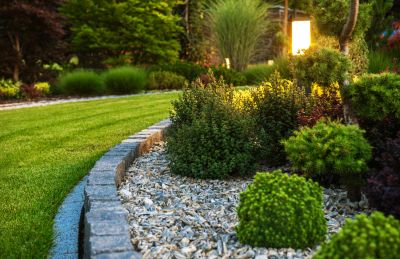Enhance The Appearance of Your Shrubs!