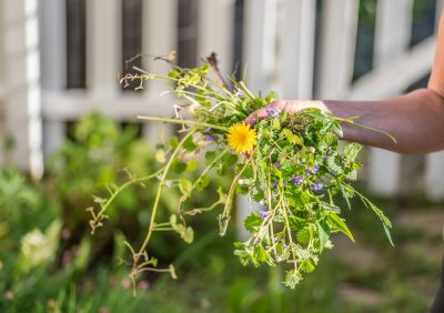 Keep Flower Beds Free of Weeds