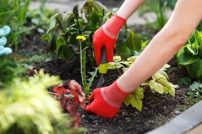 Removing Weeds