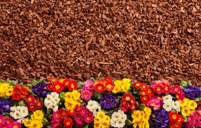 Nurture the Health and Beauty of Your Gardens
