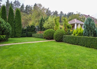 Improve Privacy and Enhance Your Landscaping with Shrub Planting!