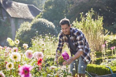 Remove Dead Leaves and Debris from Your Flower Bed!
