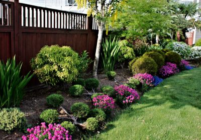 Arrange Plants and Flowers in a Given Space!