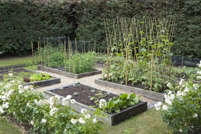 Get Regular Upkeep of Your Garden Beds!