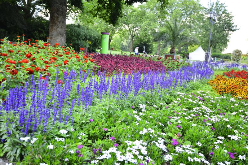 Enhanced Landscape Appearance