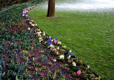 Erosion Control