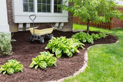 Improve the Appearance of Your Home or Business with Mulch Installation!