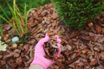 Get Garden Mulching To Keep Your Soil Healthy!