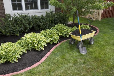 Get in Contact With Professional Garden Mulching Today!