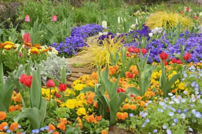 Improve The Aesthetic Appeal of Your Garden By Getting Professional Weed Control
