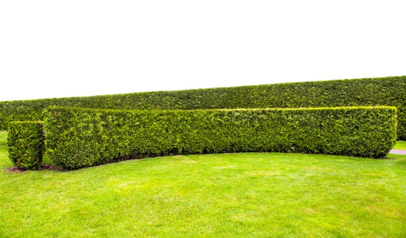 Hedge Installation in Ventura County, CA