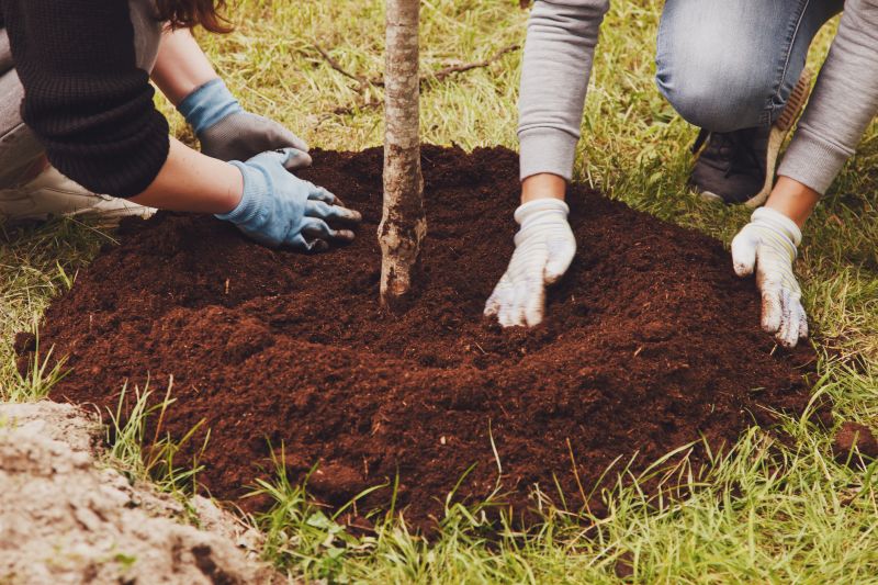 Pear Tree Planting in Ventura County, CA