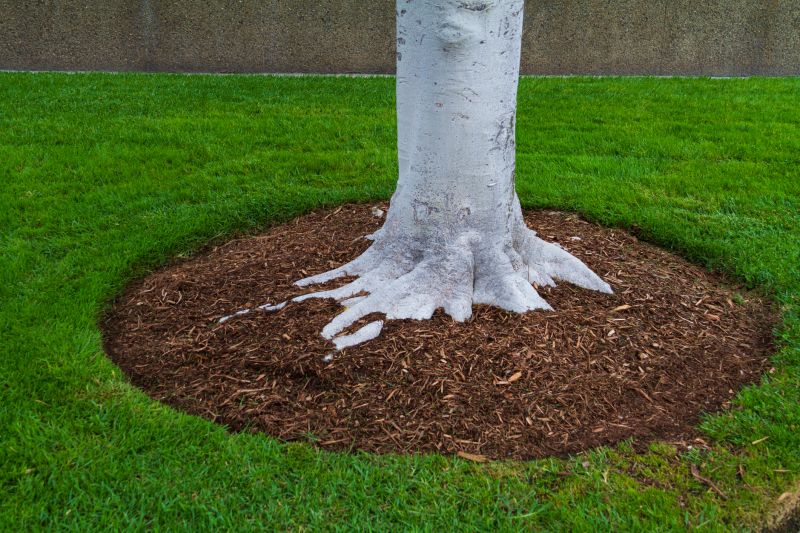Improve Aesthetic Appeal With Professional Mulch Delivery Service!