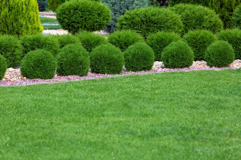 Control Disease Spread With Professional Shrub Spraying Service!