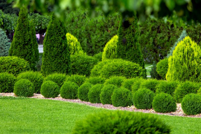 Get Professional Shrub Spraying To Enhance Plant Health!