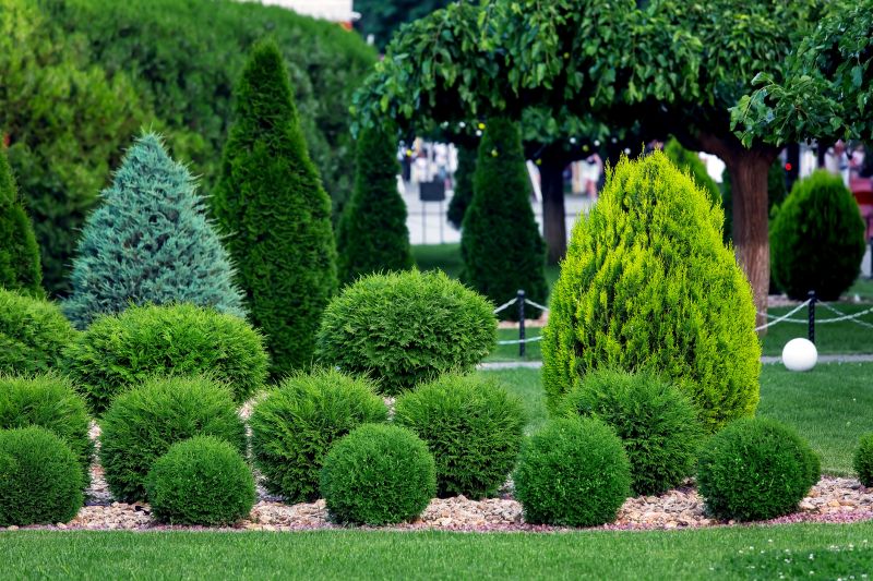 Get Professional Shrub Spraying To Improve Aesthetic Appeal!