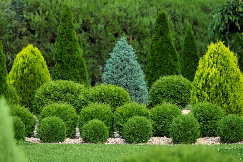 Shrub Spraying