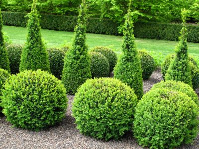 Create Seasonal Interest and Variety!