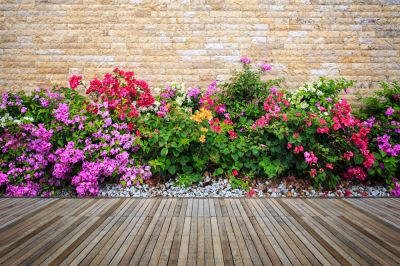 Improved plant growth