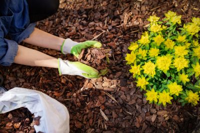 Mulch Spreading Services