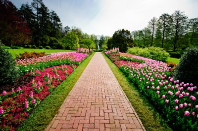 Create a Focal Point for Your Landscaping!