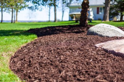 Make Your Garden Look Visually Appealing!