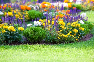 Add Aesthetic Beauty To your Garden!