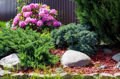 Control Weeds and Pests!