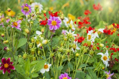Enjoy Environmental Benefits!