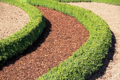 Regulate Soil Temperature with Mulch Maintenance!