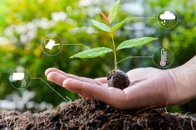 Plant Health Monitoring