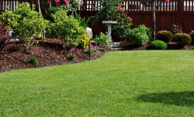Choose From a Variety of Different Plant Options!