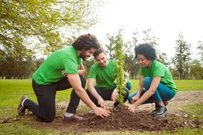 Plant Reintroduction