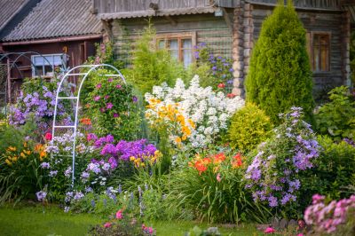 Reintroduce The Perfect Plants!