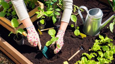 Allow for Better Soil Quality Control!