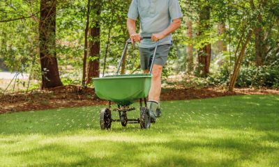 Fertilize Your Grass!