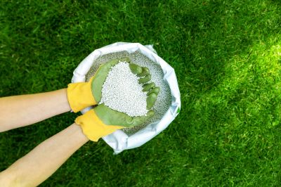 Fertilizing - Fertilizing Naples, Florida