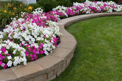 Enjoy a Stunning Outdoor Flower Bed with Proper Maintenance!