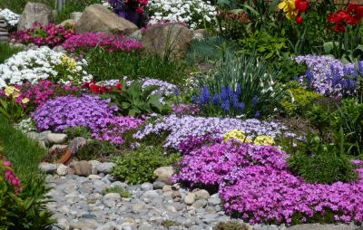 Garden Bed Design