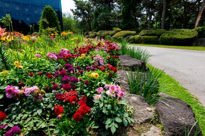 Maintain a Beautiful and Healthy Garden with Flower Bed Cleanup!