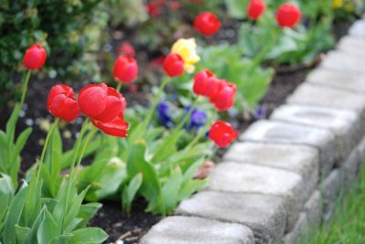 Create a Calming and Relaxing Atmosphere with Flower Garden Planting!