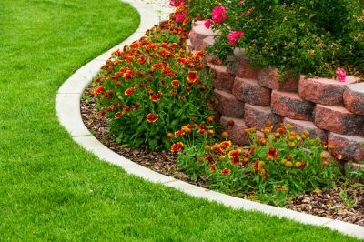 Add Definition and Character to Your Landscape Design!