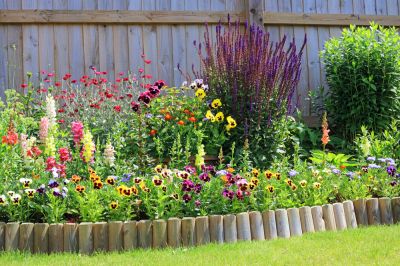 Garden Edging