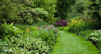 Create a Beautiful Outdoor Space!