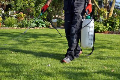 Weed Spraying to Reduce and Eliminate Weeds!