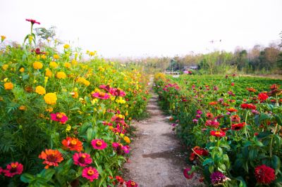 Stabilize Soil!