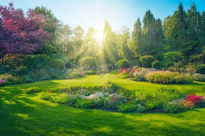 Garden Maintenance