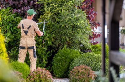 Garden Maintenance Service