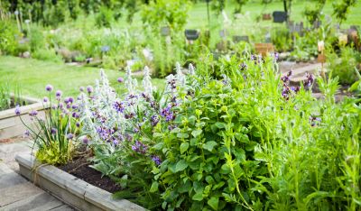 Garden Planting