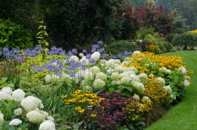Perennial Transplanting